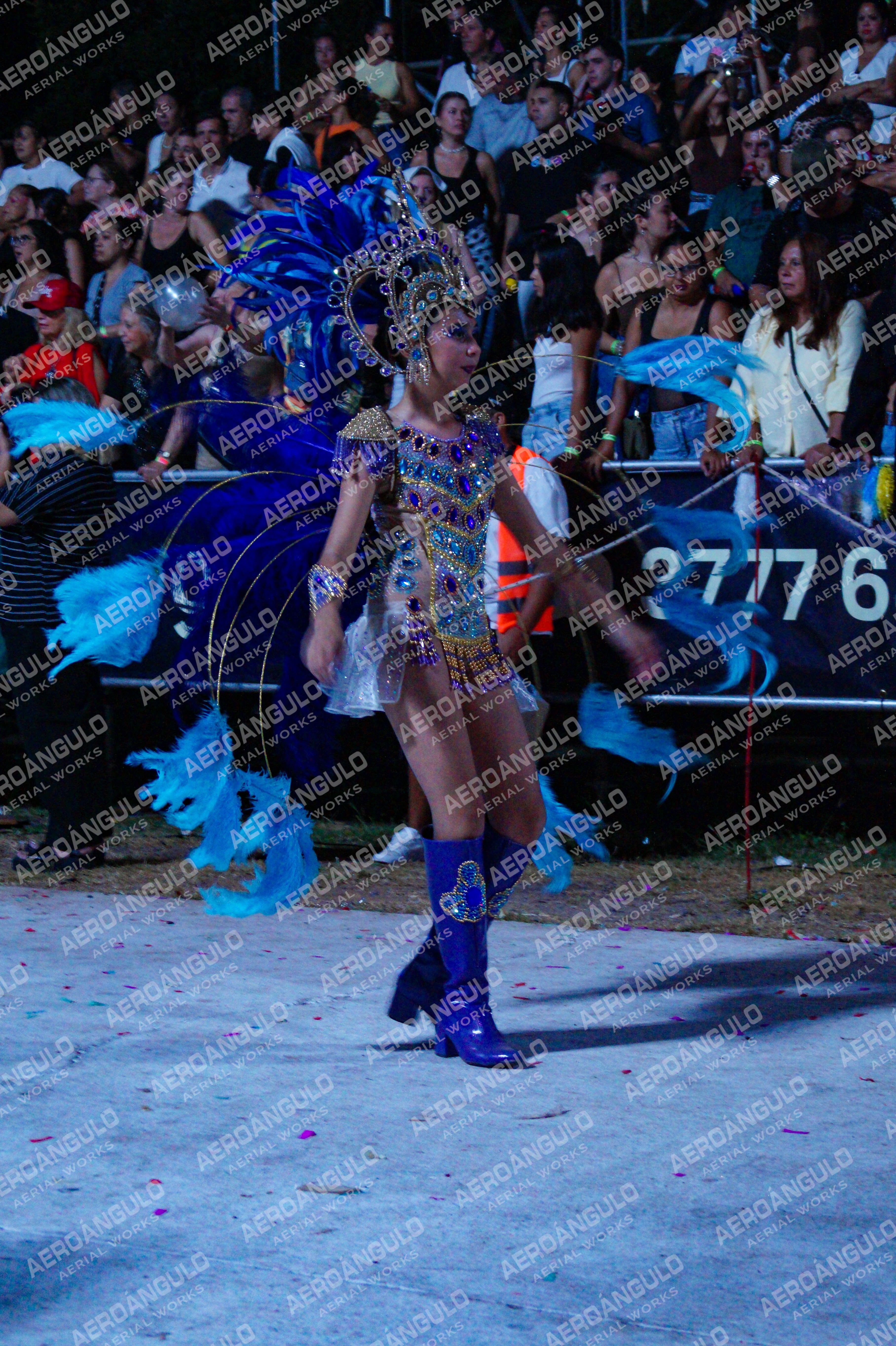 DIA3GOYA N°958