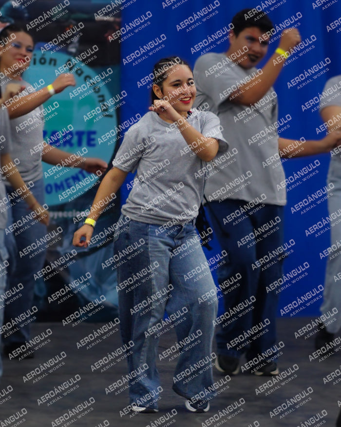 Danzarte N°10
