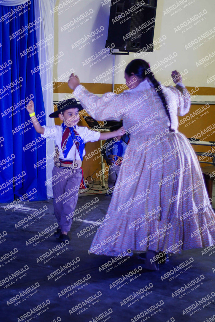 Danzarte N°100