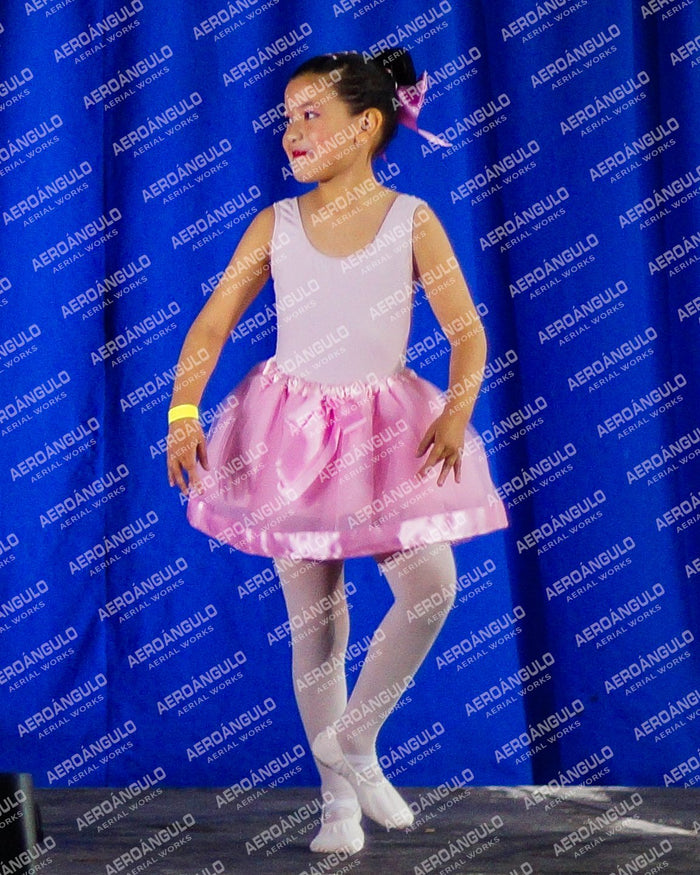 Danzarte N°12
