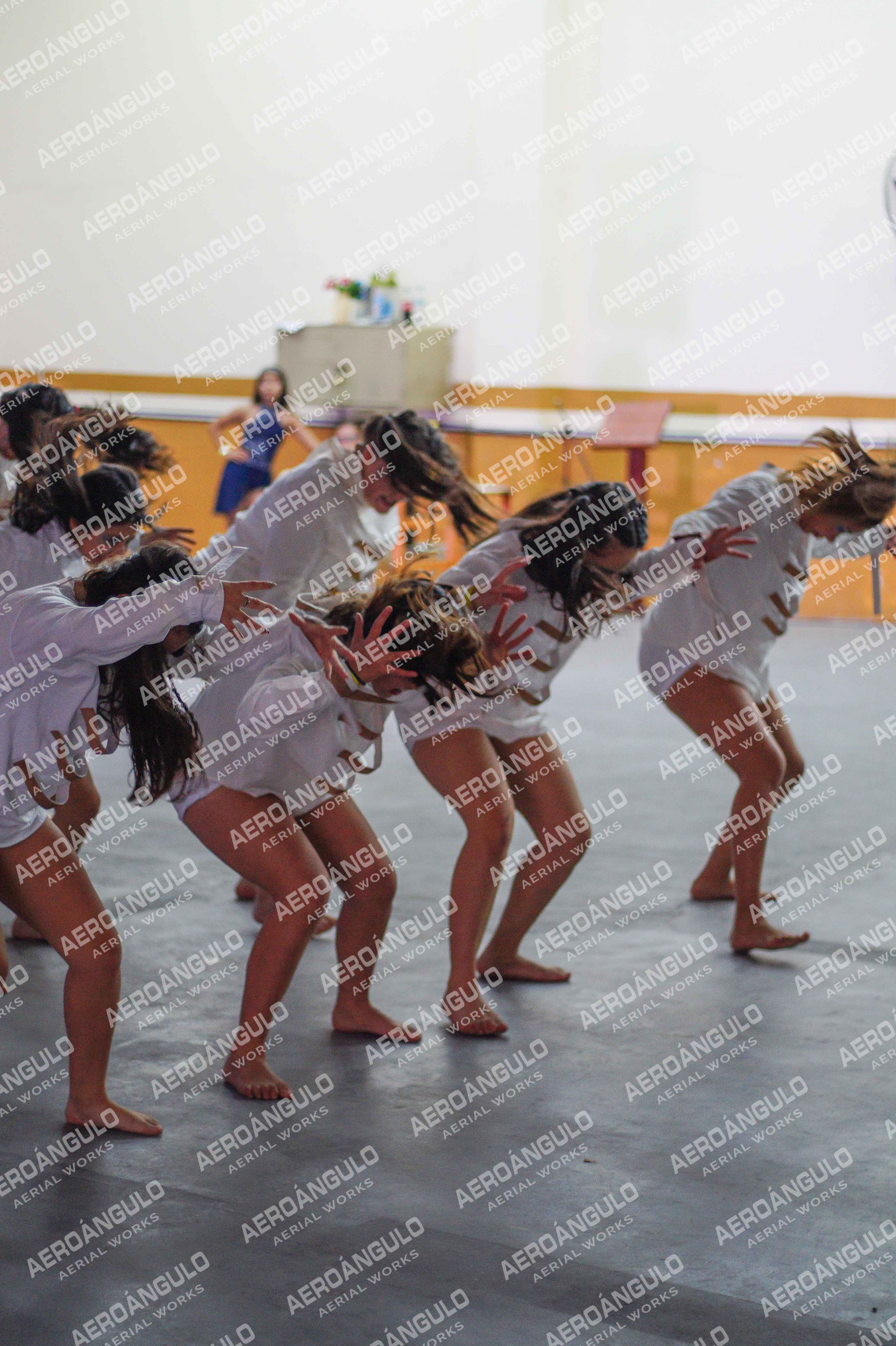 Danzarte N°128