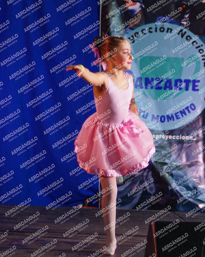 Danzarte N°13