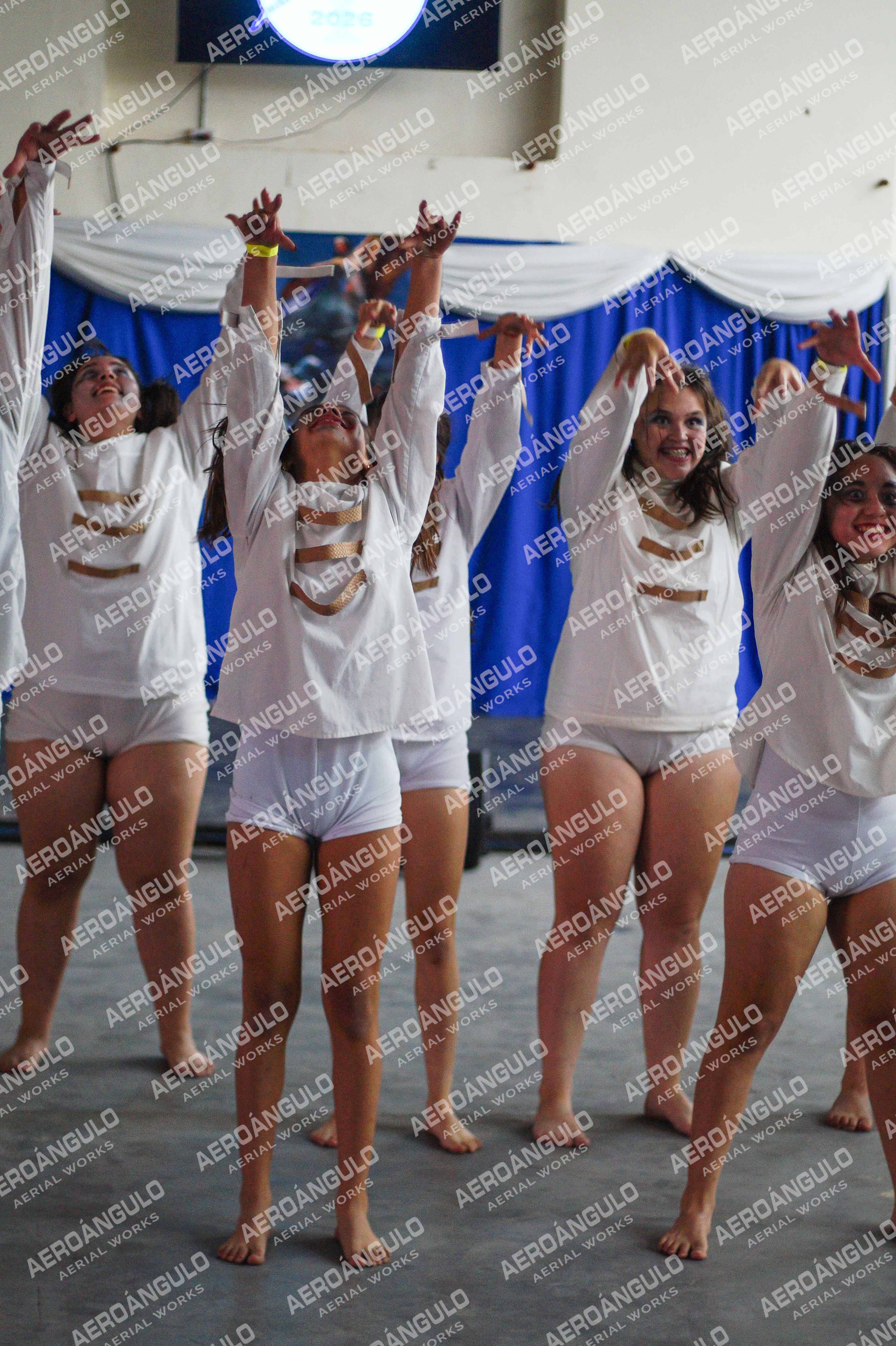 Danzarte N°133