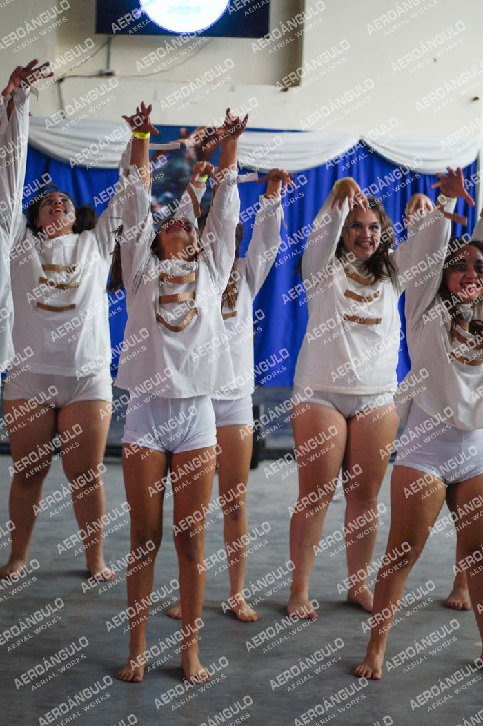 Danzarte N°133