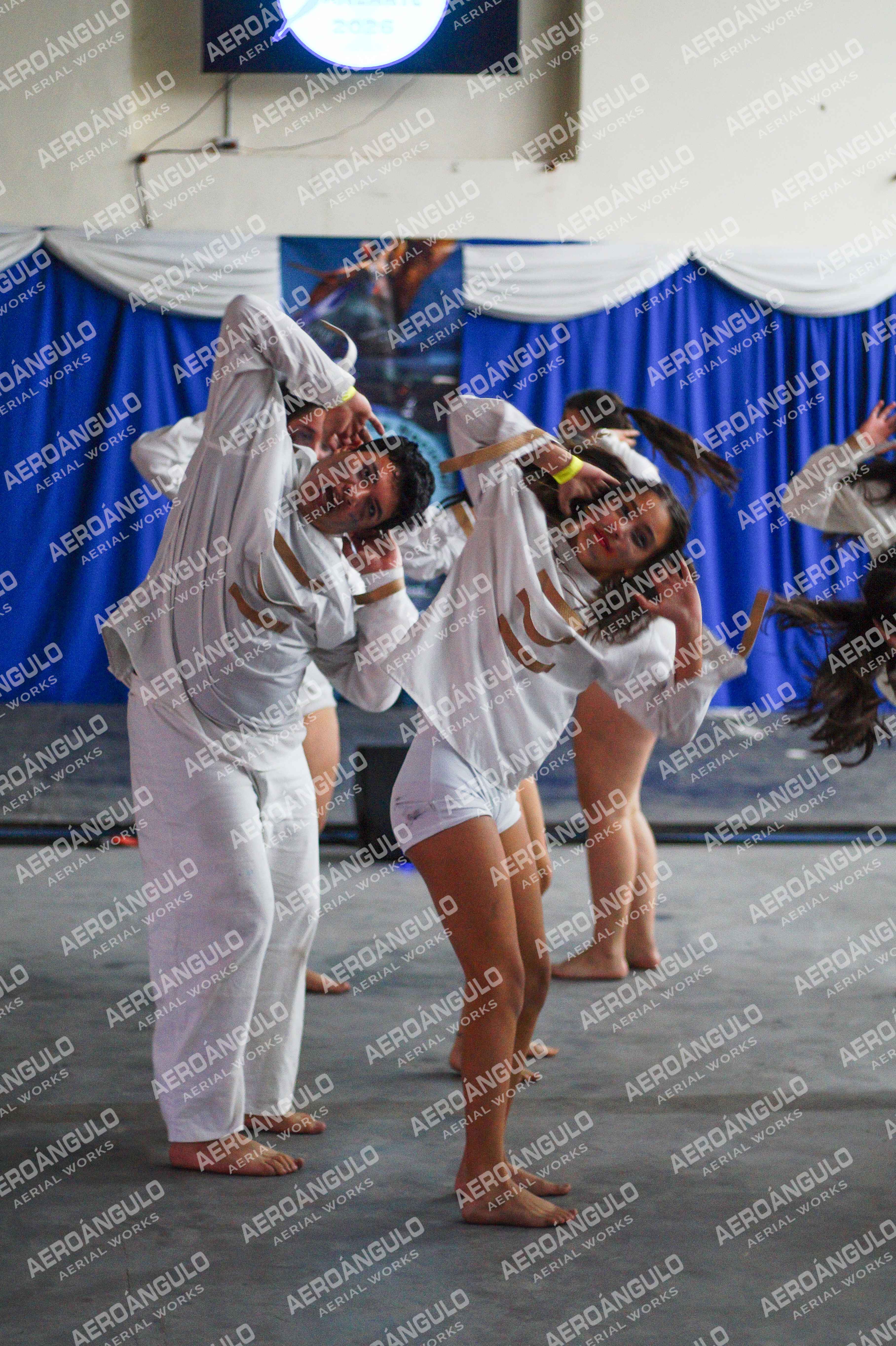 Danzarte N°140