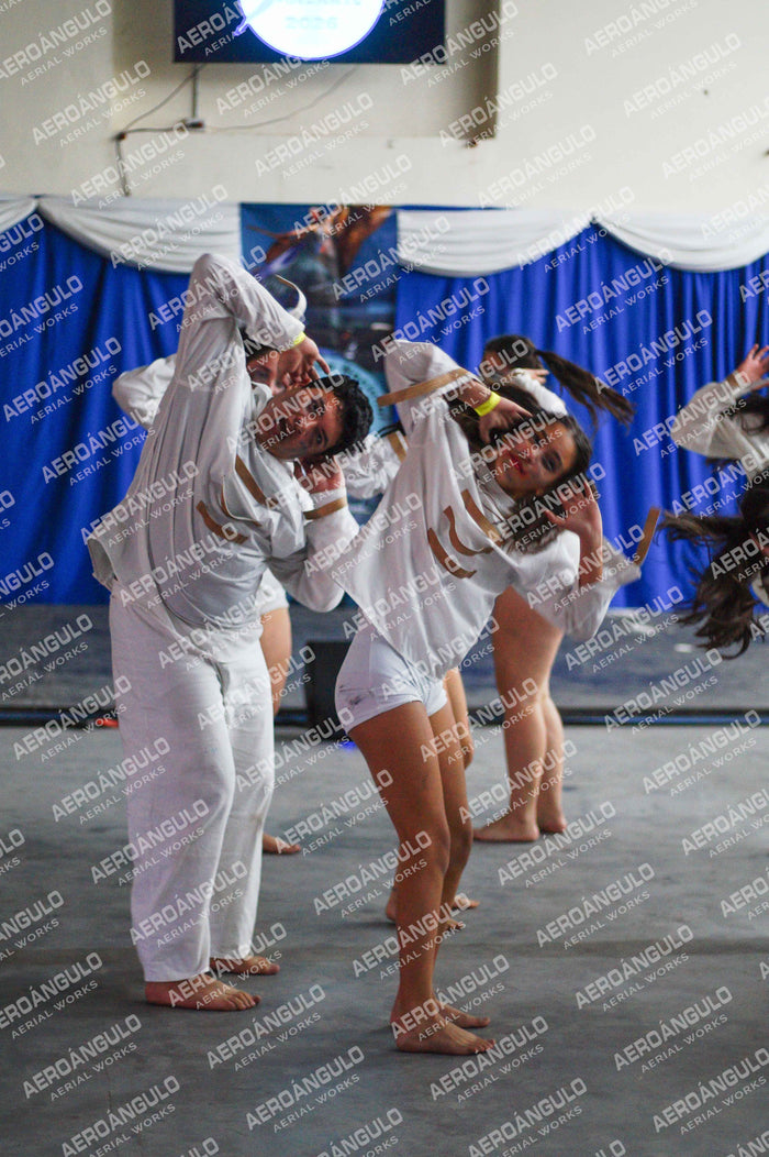 Danzarte N°140