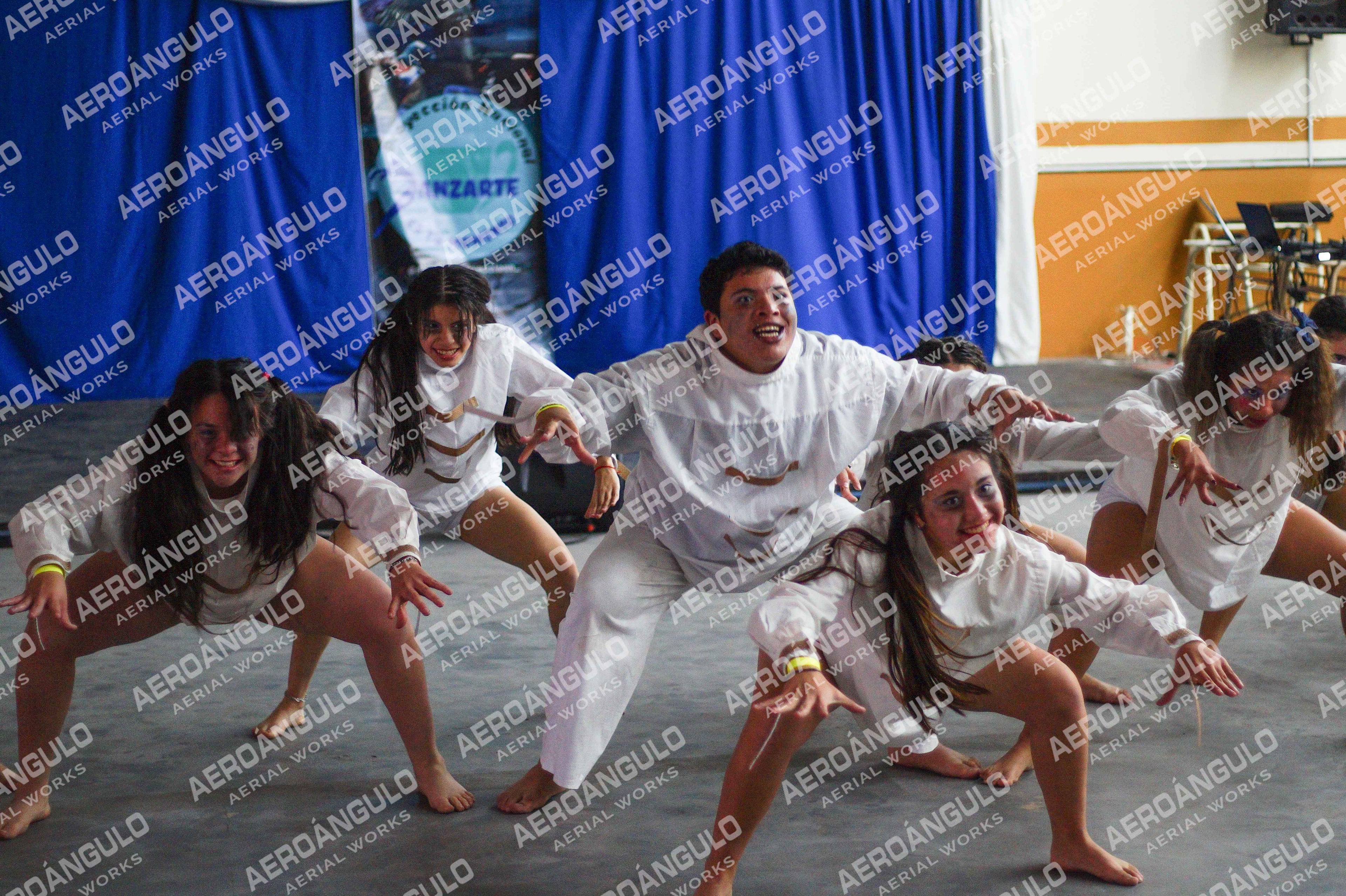 Danzarte N°142
