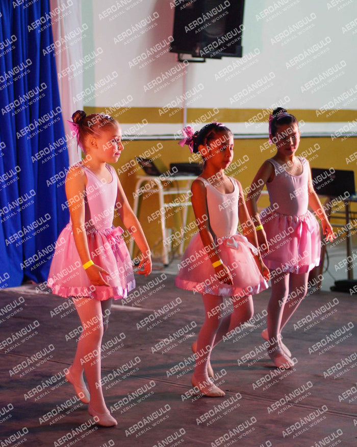 Danzarte N°15