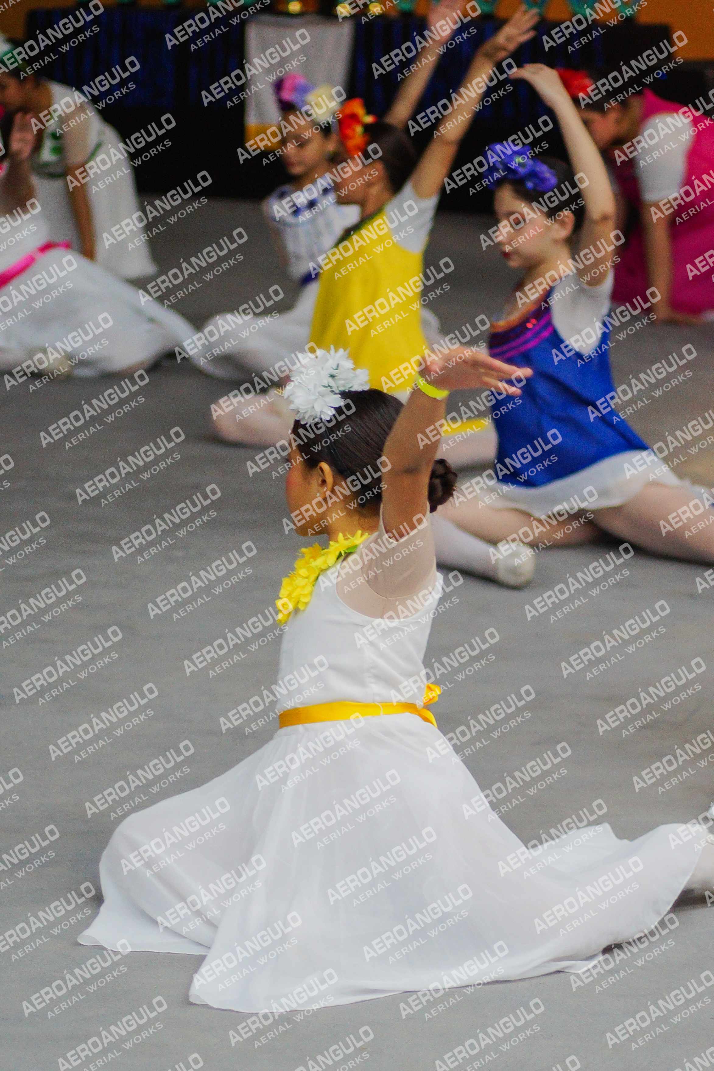 Danzarte N°158