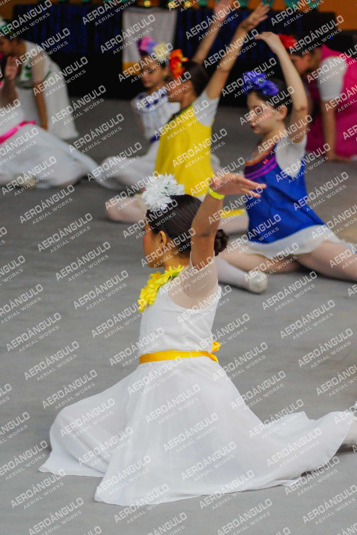 Danzarte N°158