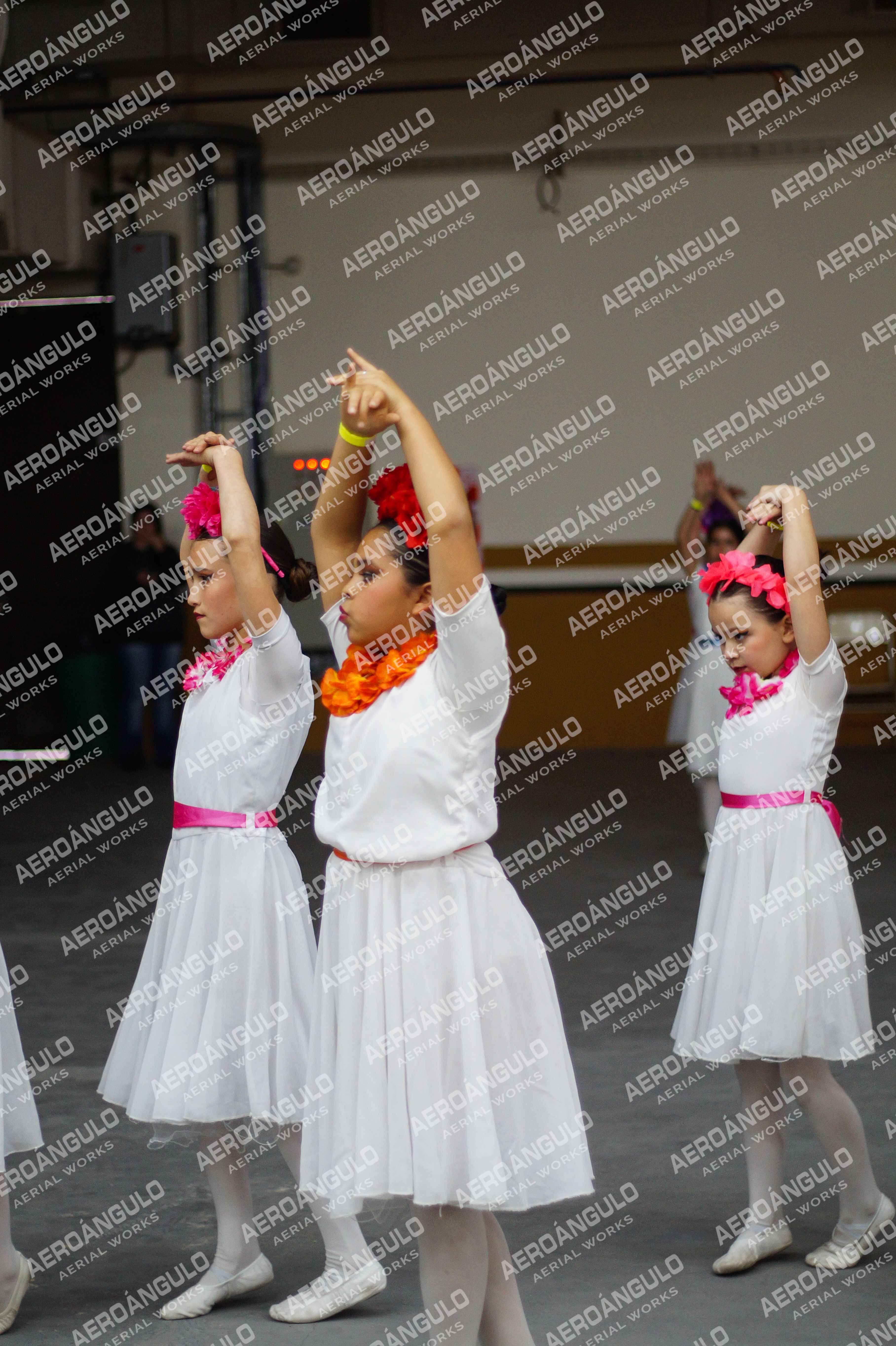 Danzarte N°162