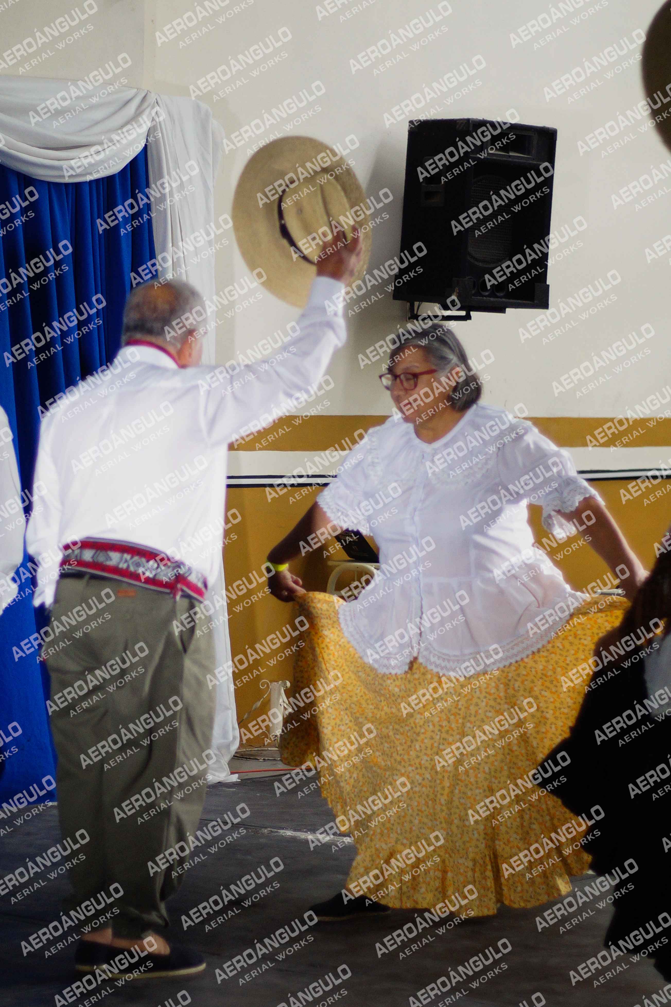 Danzarte N°163