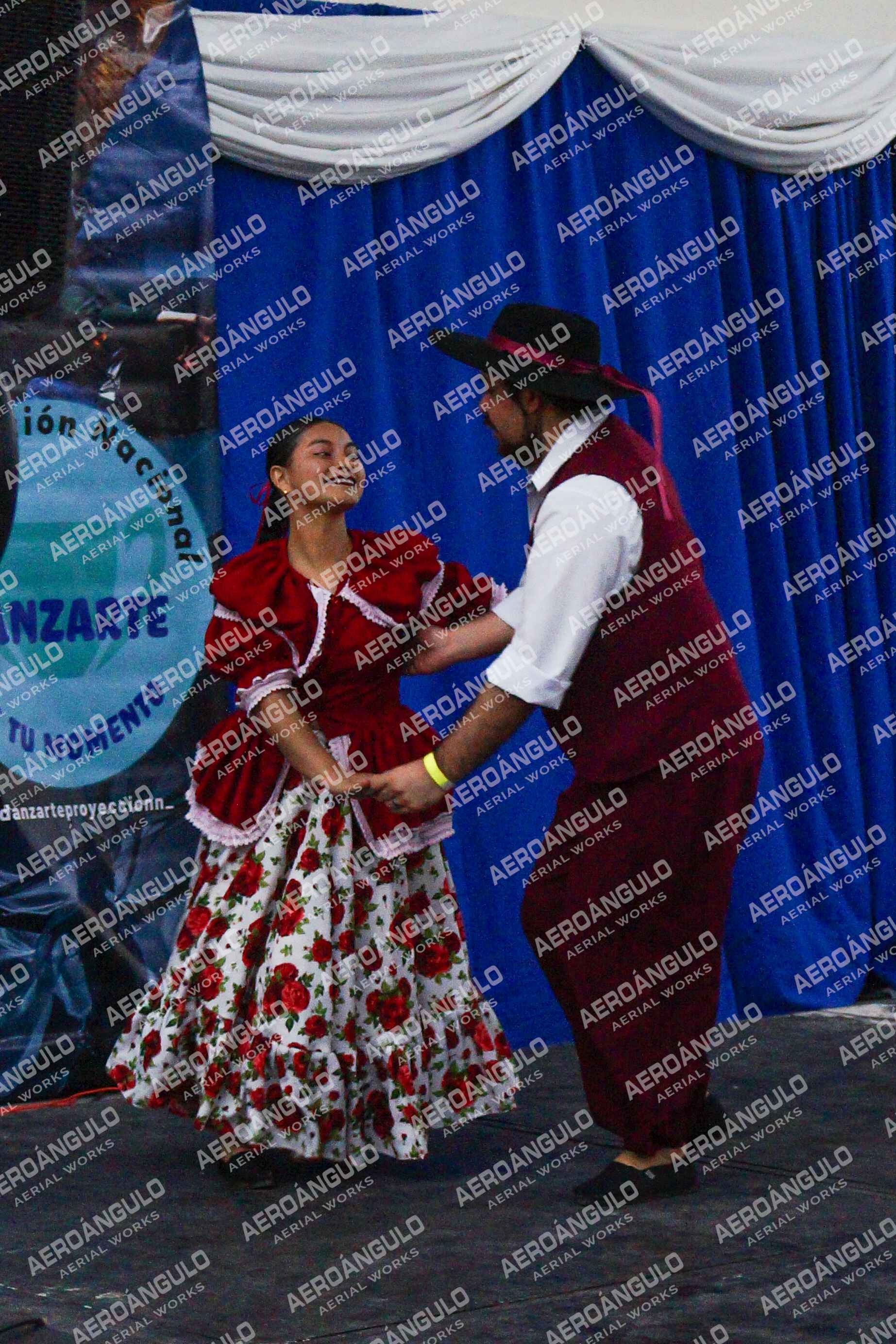 Danzarte N°174
