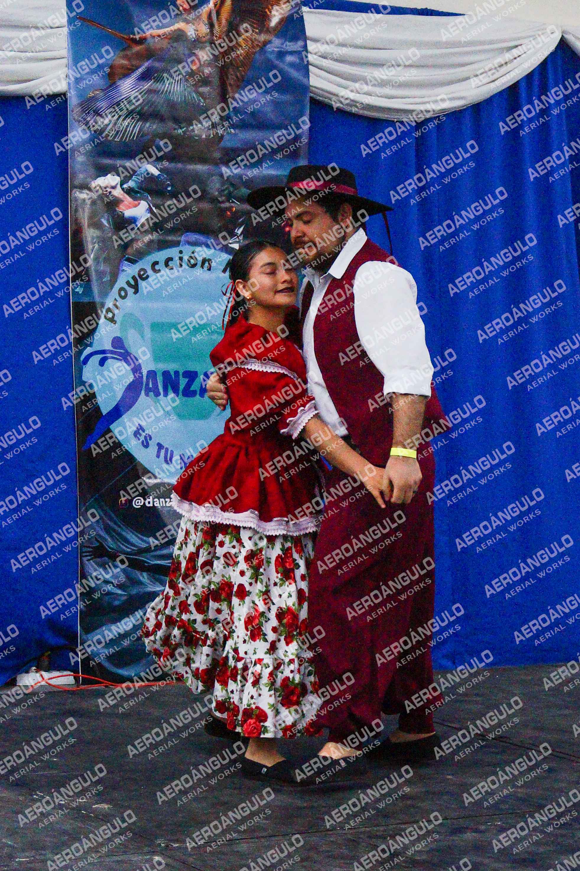Danzarte N°176