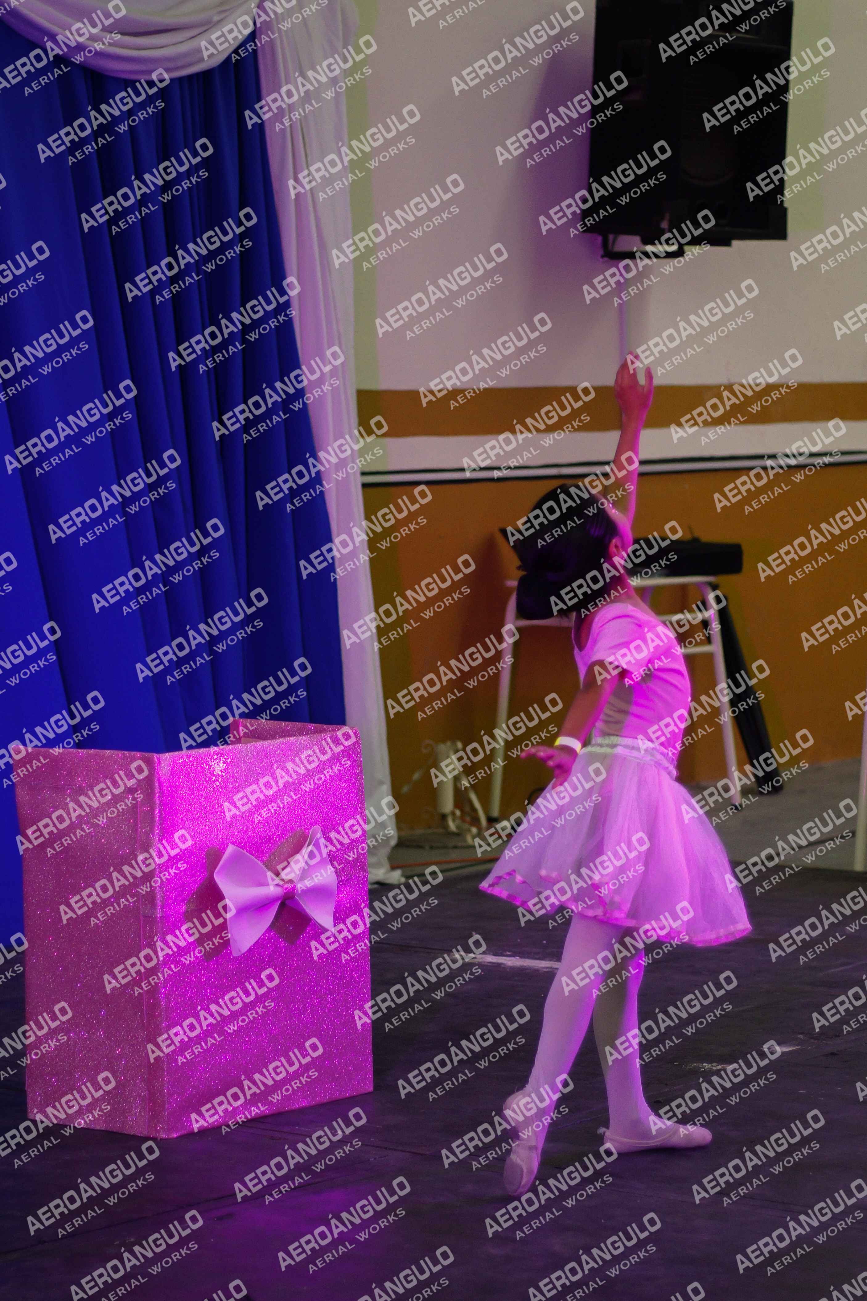 Danzarte N°181