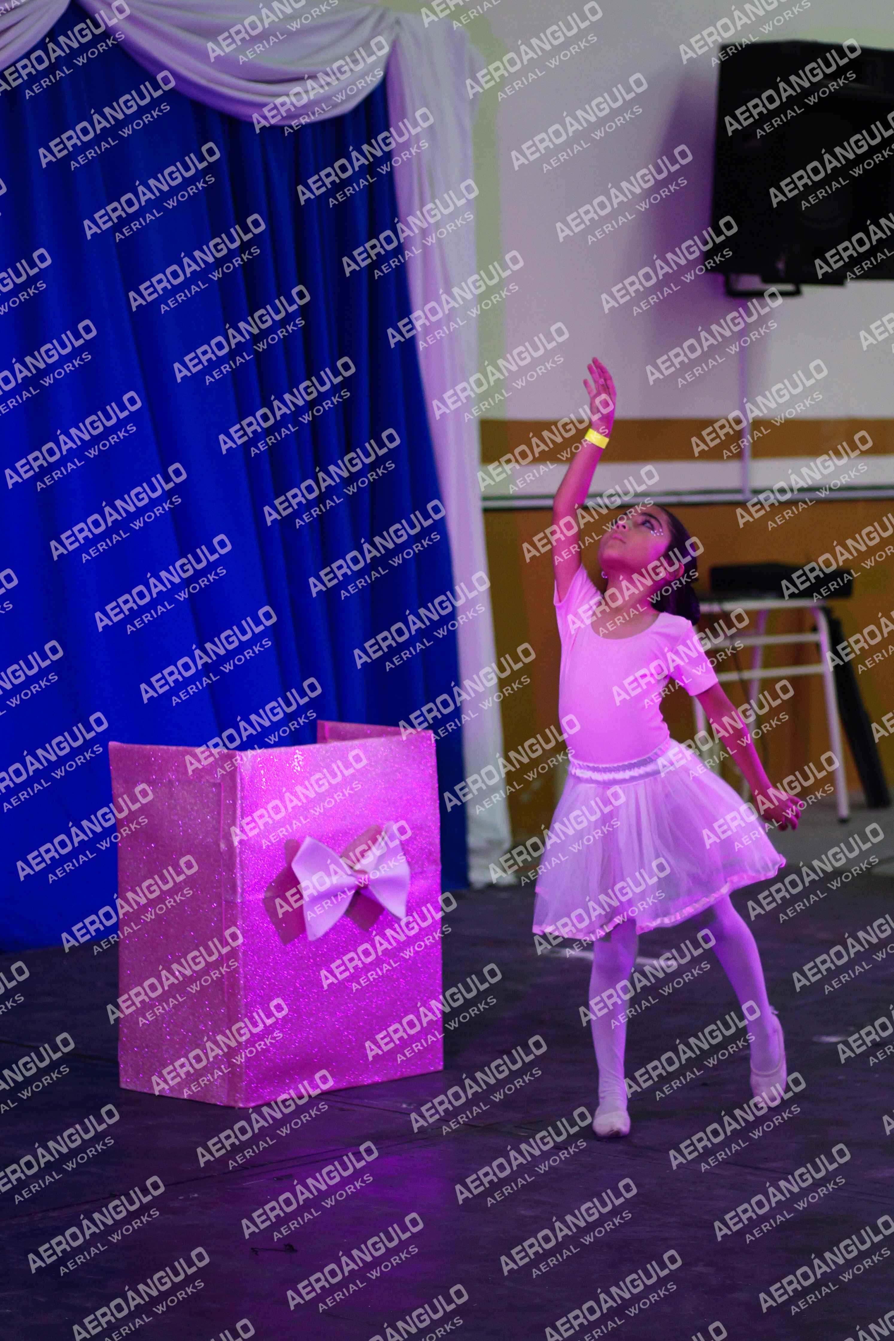 Danzarte N°182