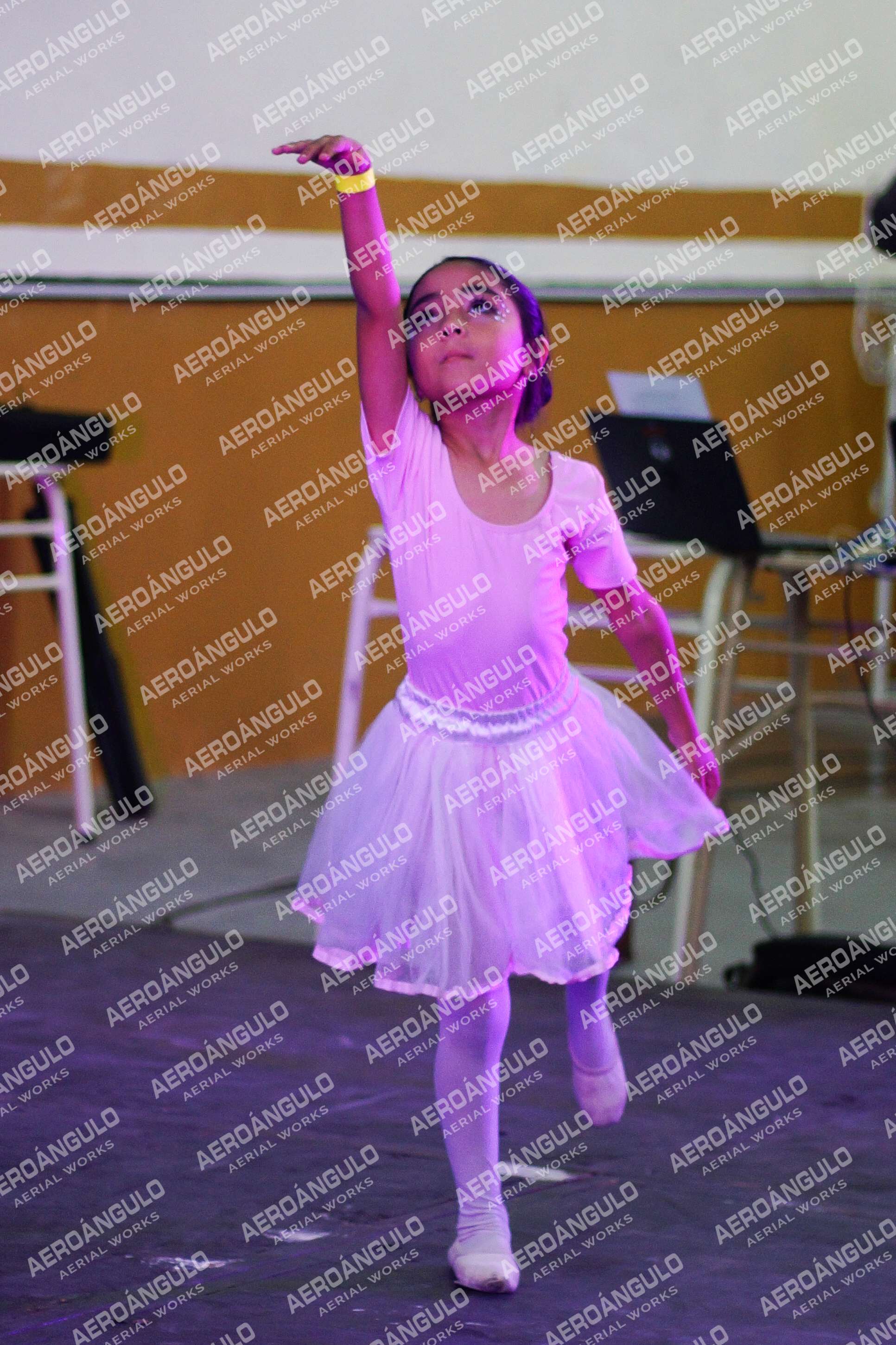 Danzarte N°183