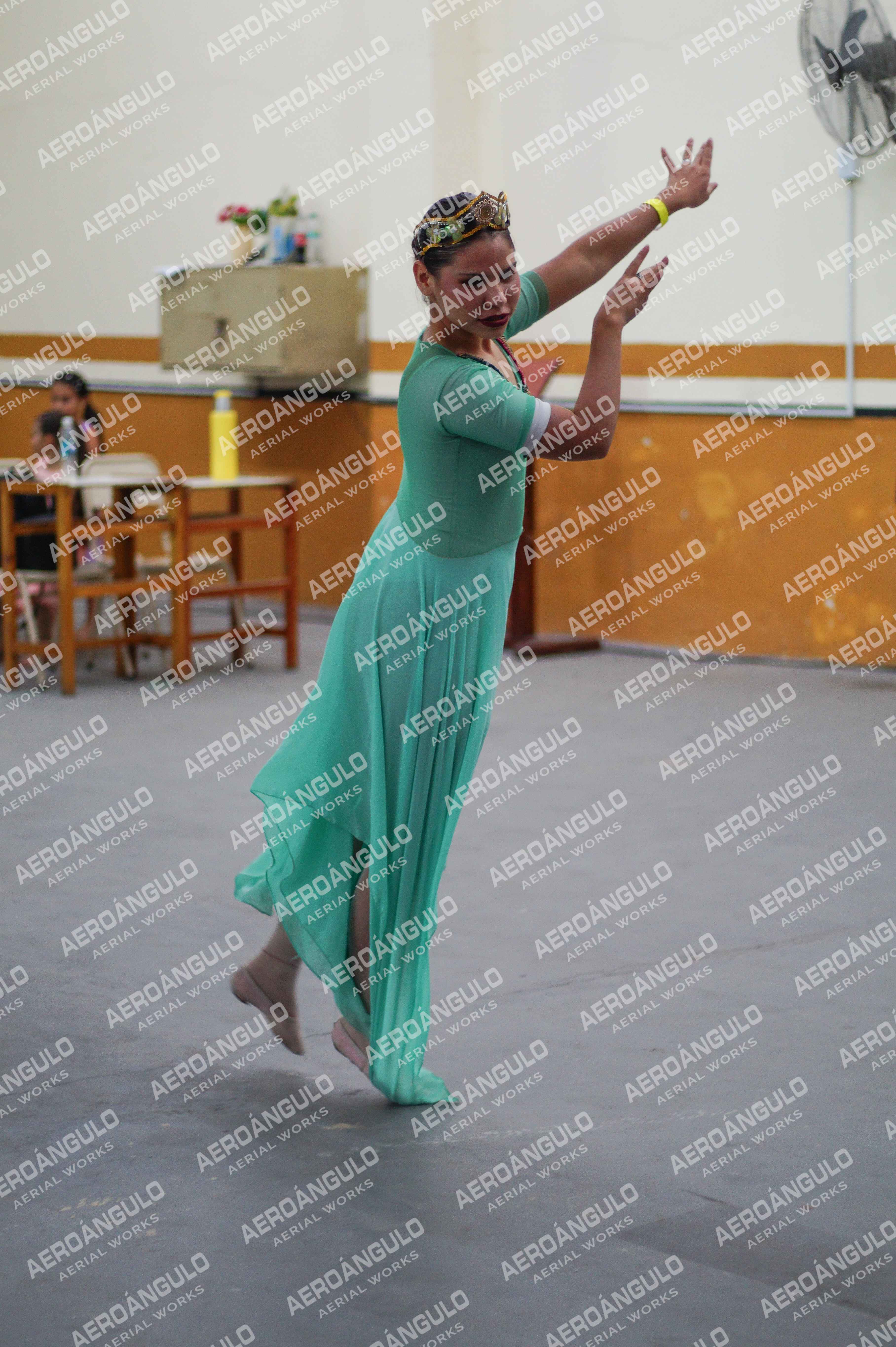 Danzarte N°191