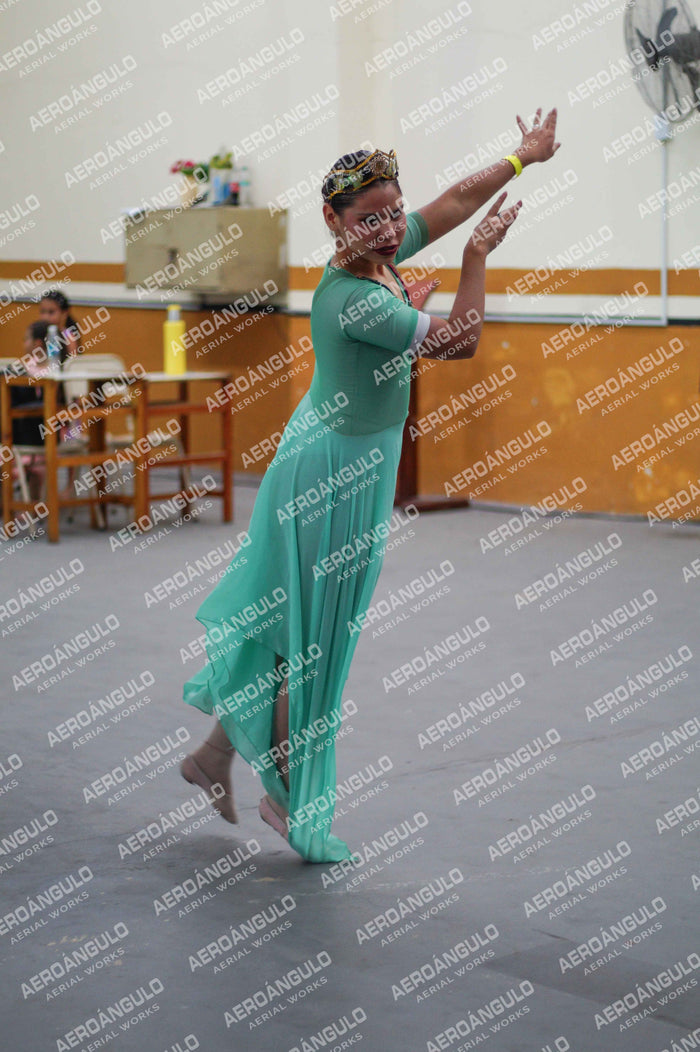 Danzarte N°191