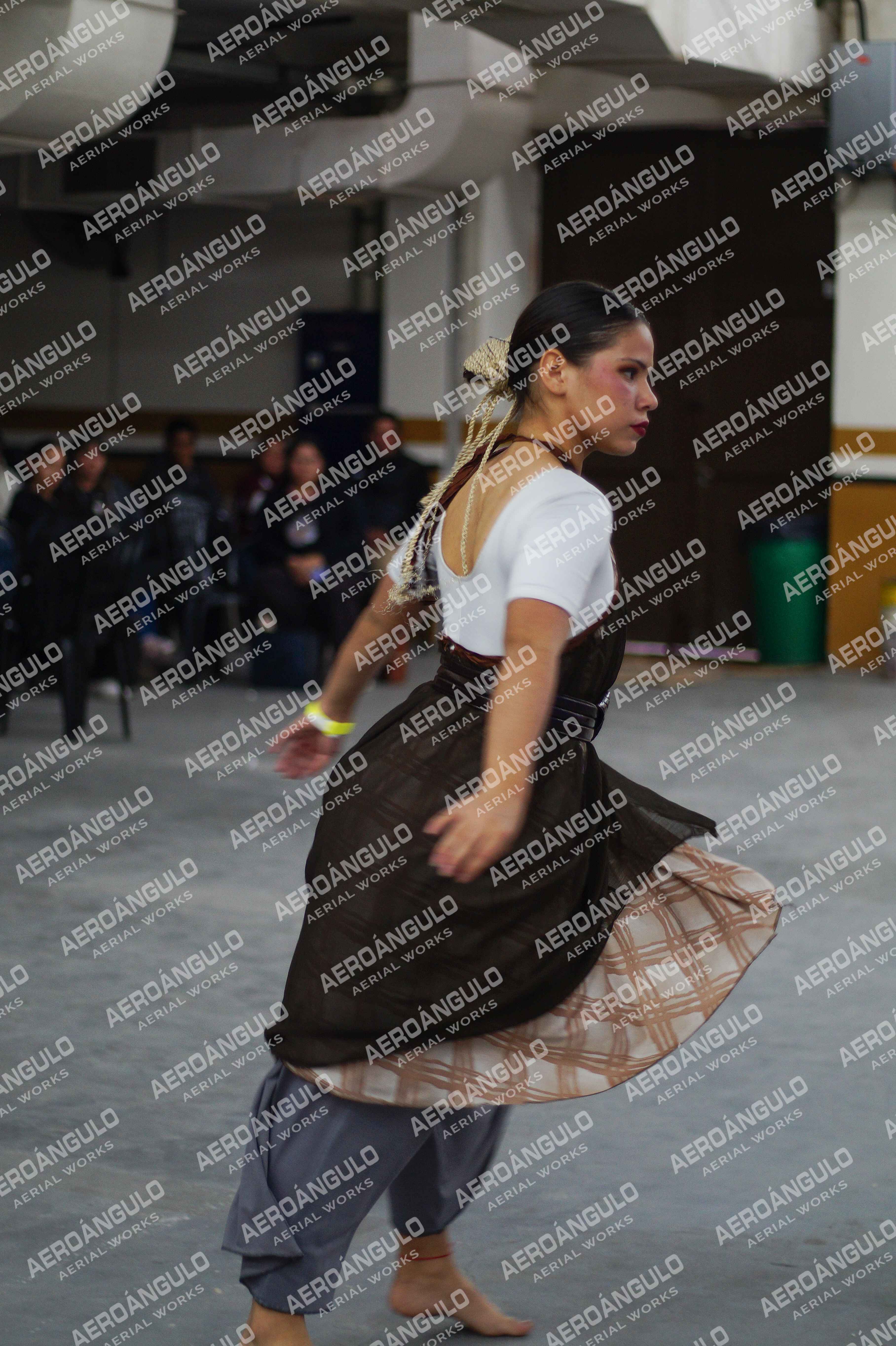 Danzarte N°213