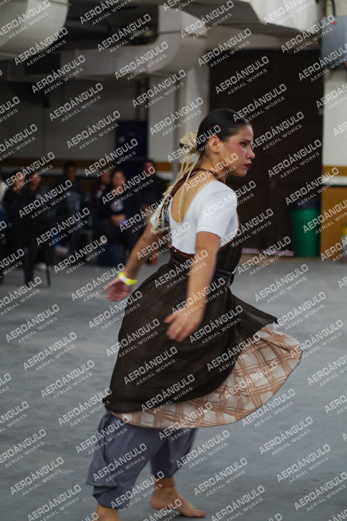 Danzarte N°213