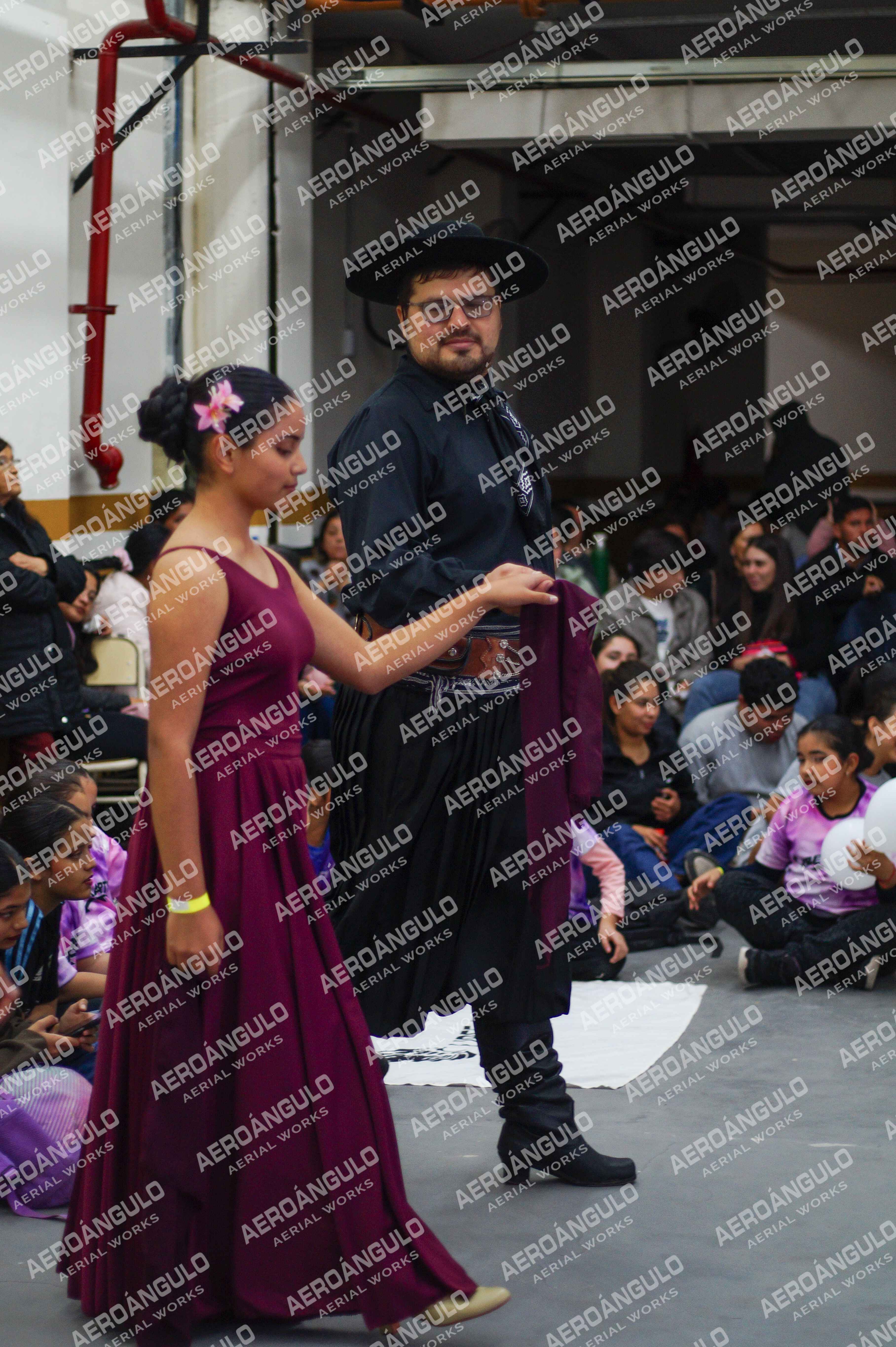 Danzarte N°234