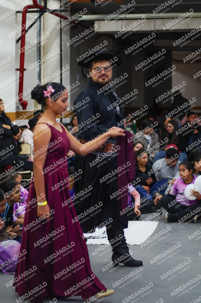 Danzarte N°234