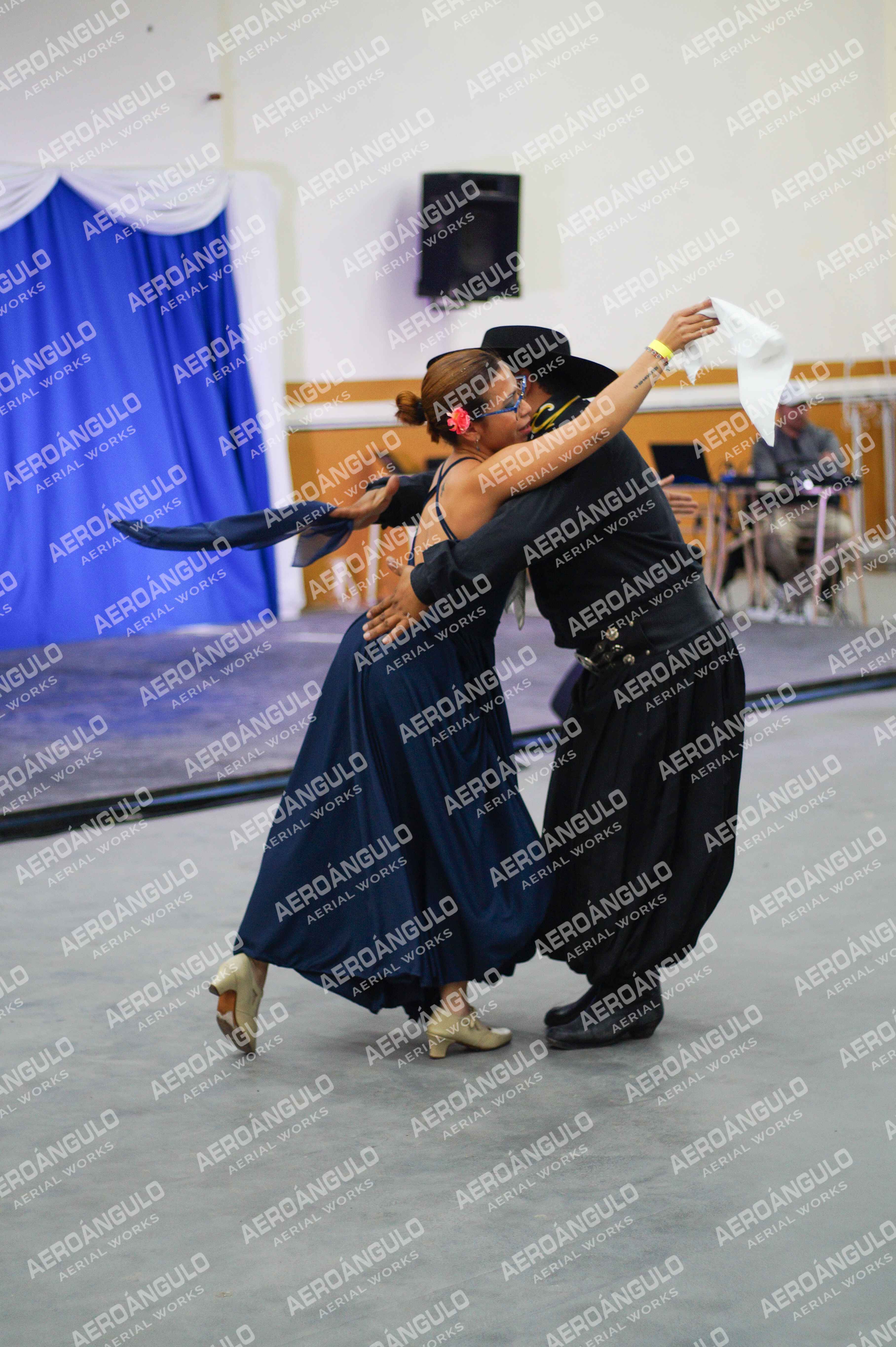 Danzarte N°246