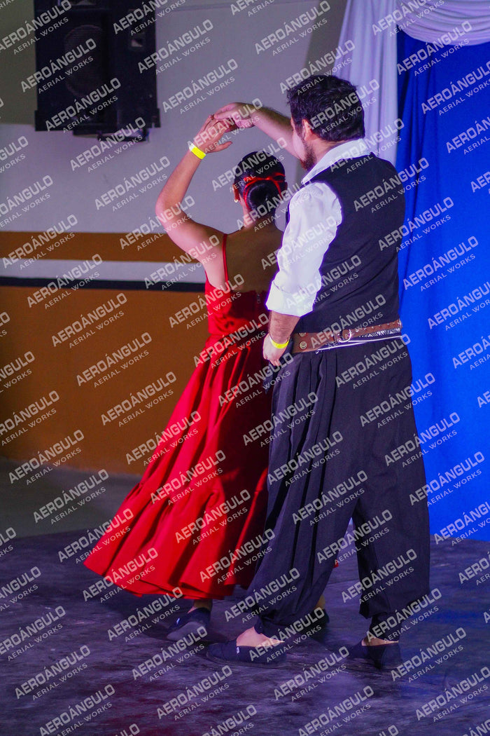 Danzarte N°37