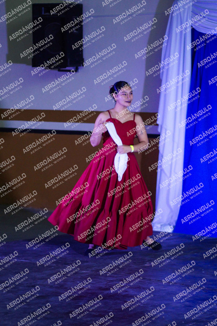 Danzarte N°38