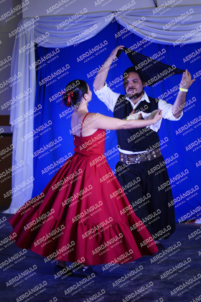 Danzarte N°42