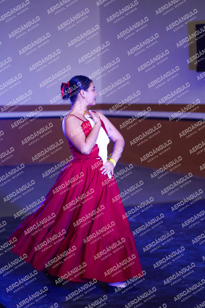 Danzarte N°46