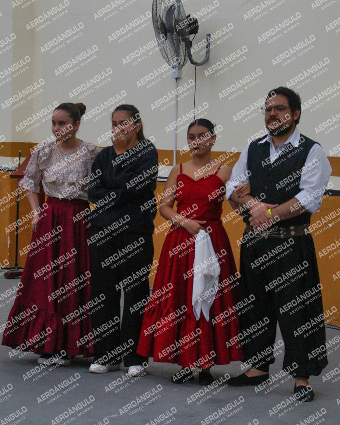Danzarte N°5