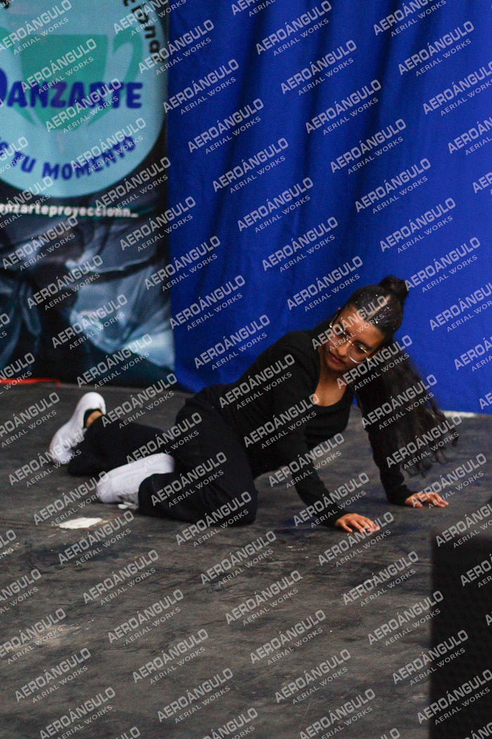Danzarte N°55