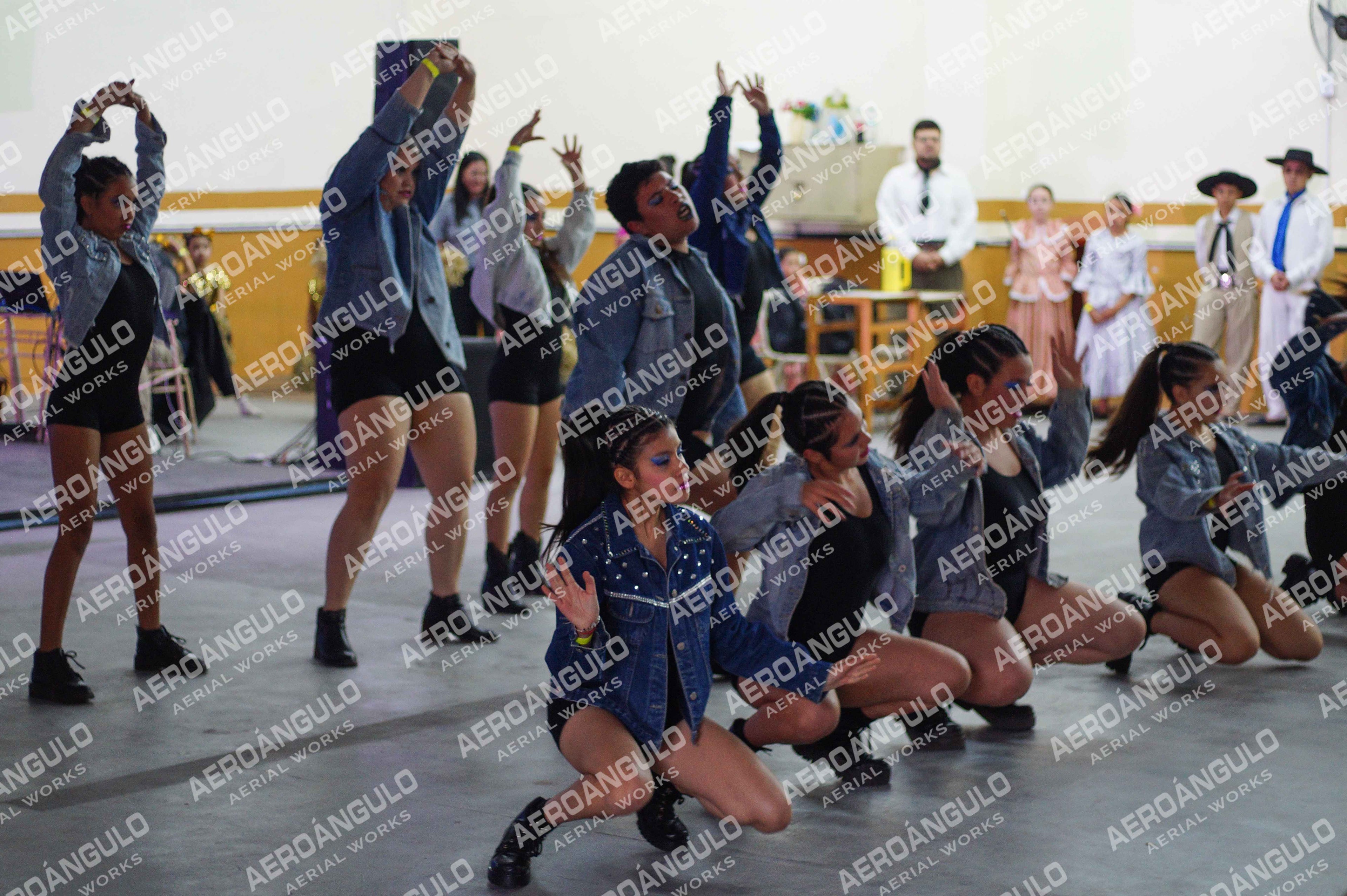 Danzarte N°69