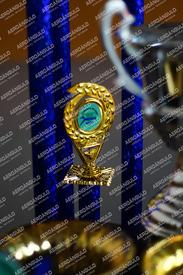 Danzarte N°76