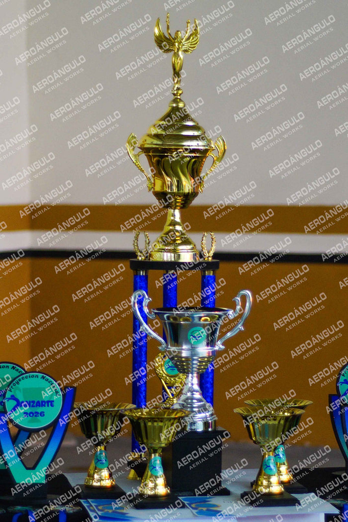 Danzarte N°77