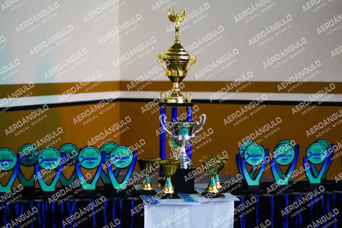 Danzarte N°78