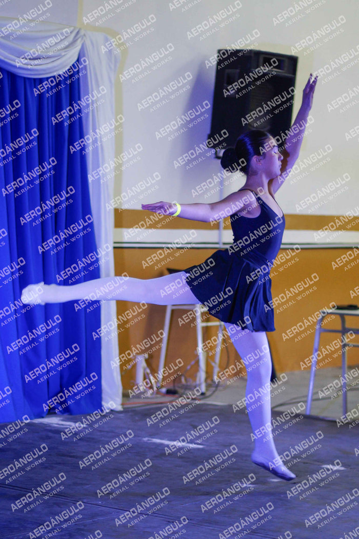 Danzarte N°86