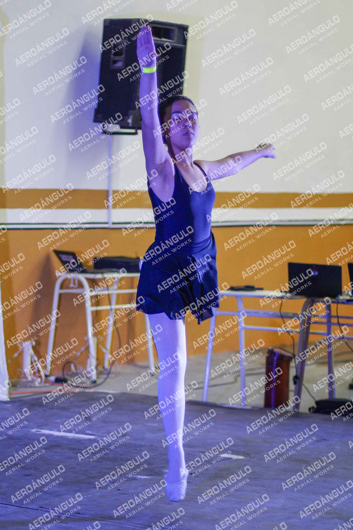 Danzarte N°87