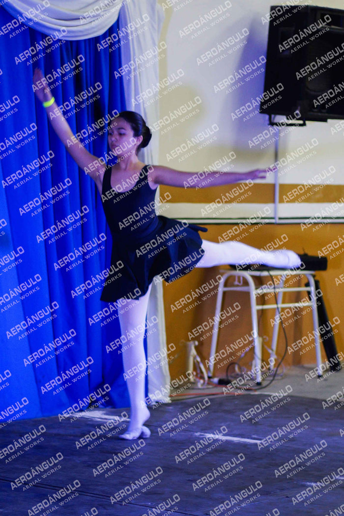 Danzarte N°88