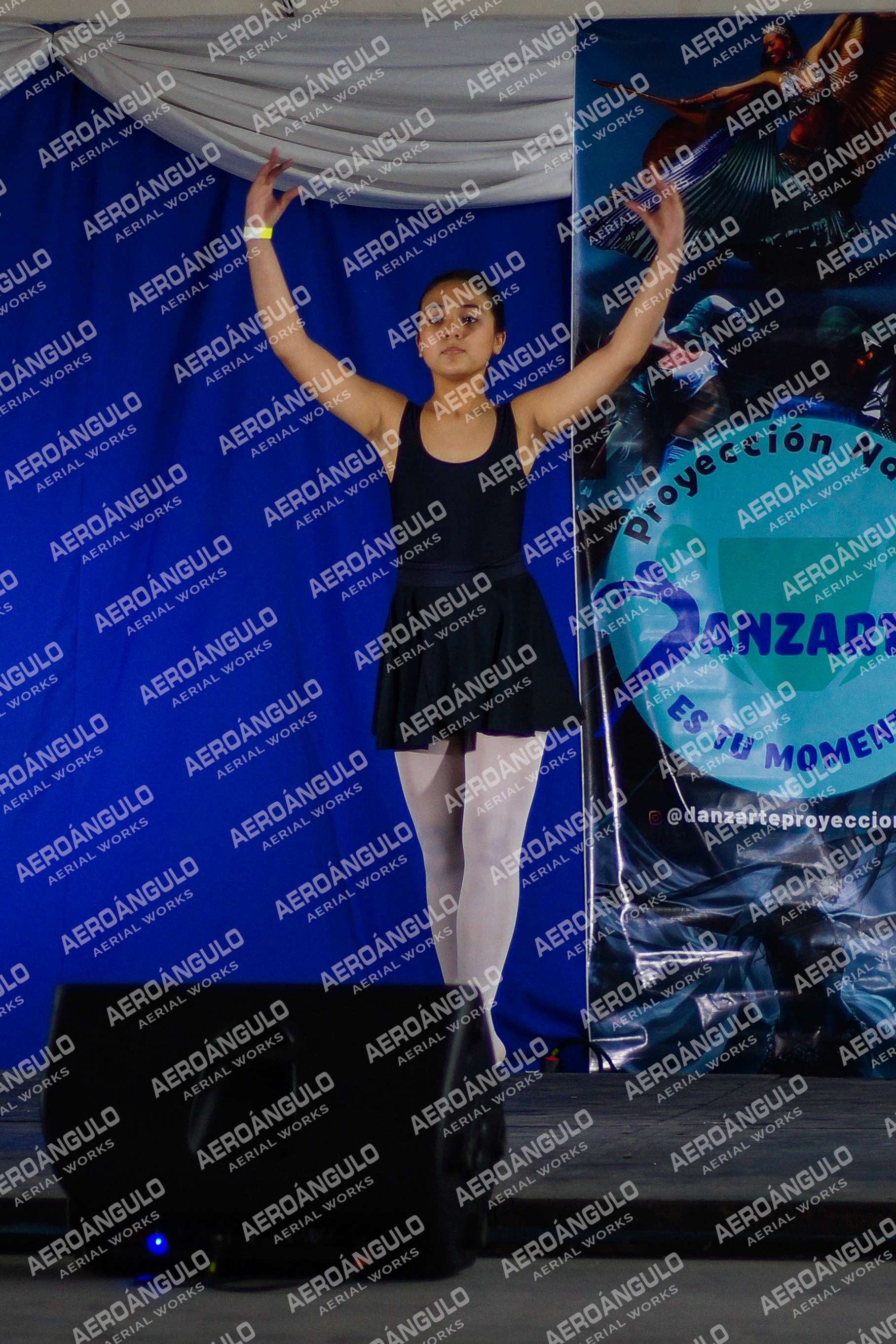 Danzarte N°89
