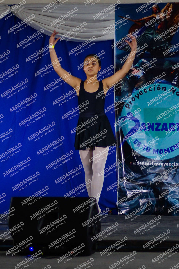 Danzarte N°89