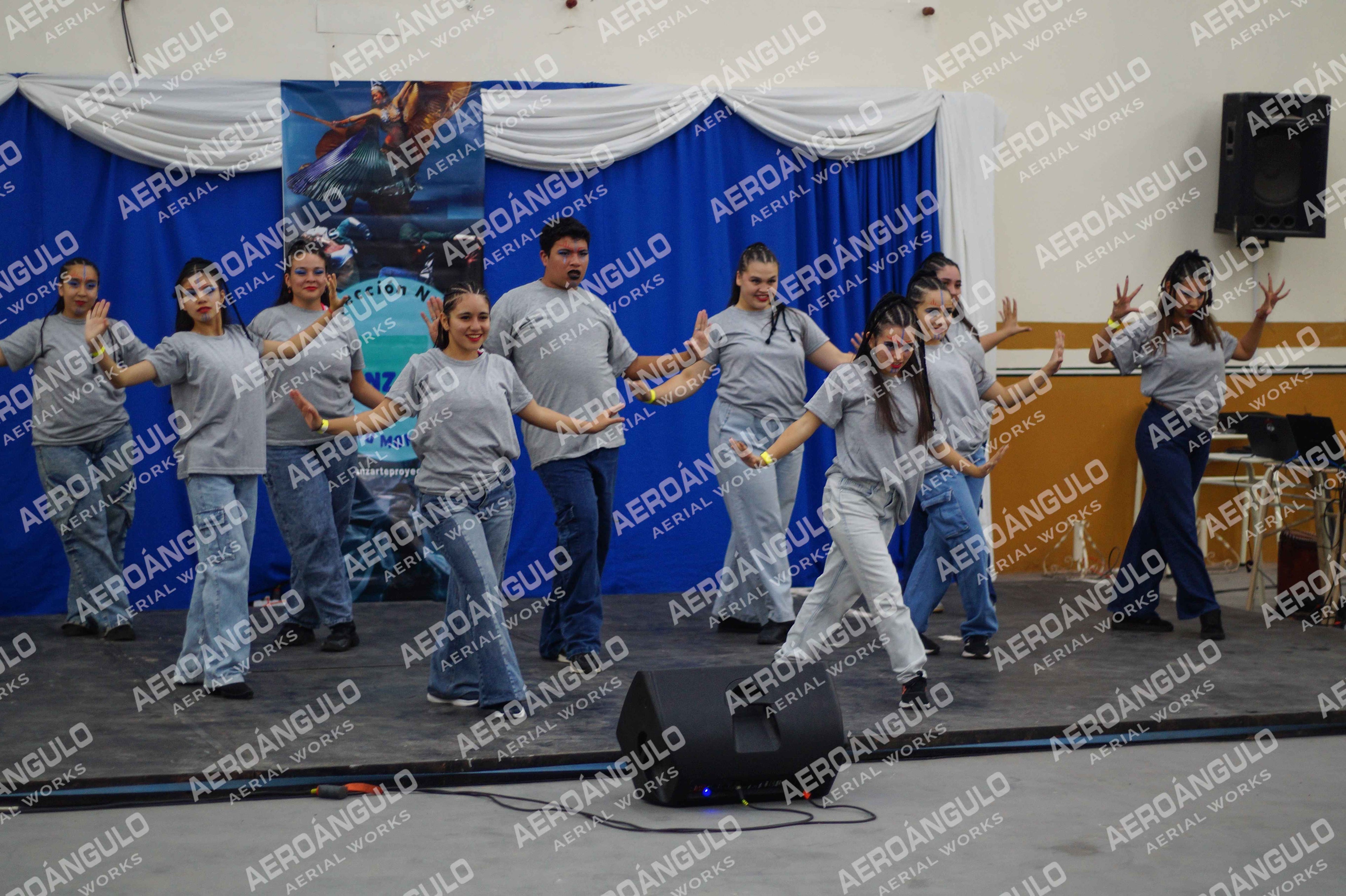 Danzarte N°9
