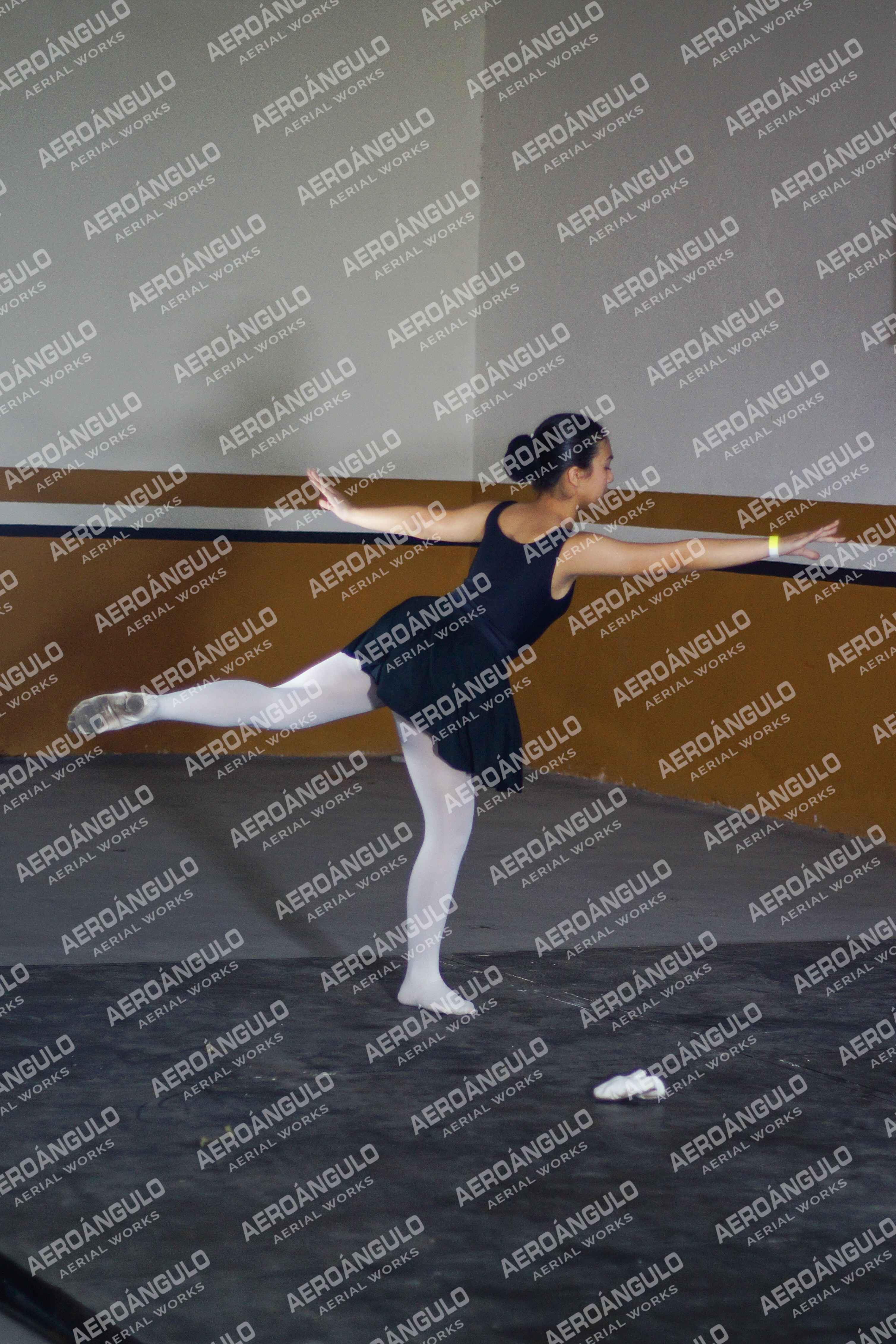 Danzarte N°90