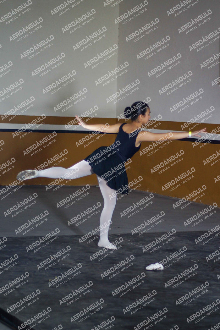 Danzarte N°90