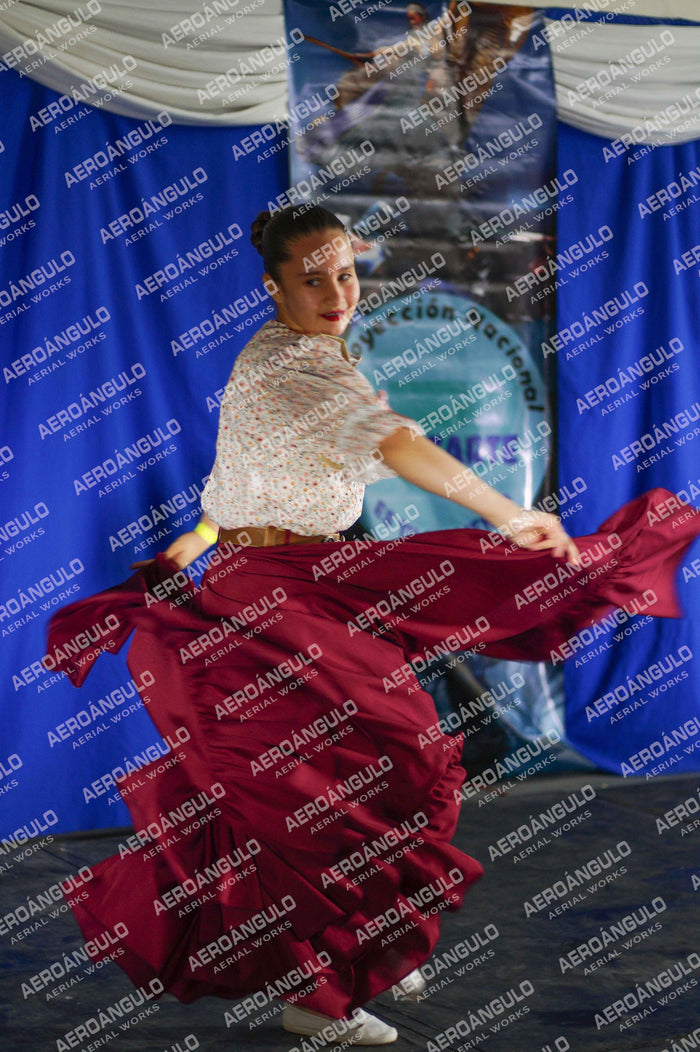 Danzarte N°95