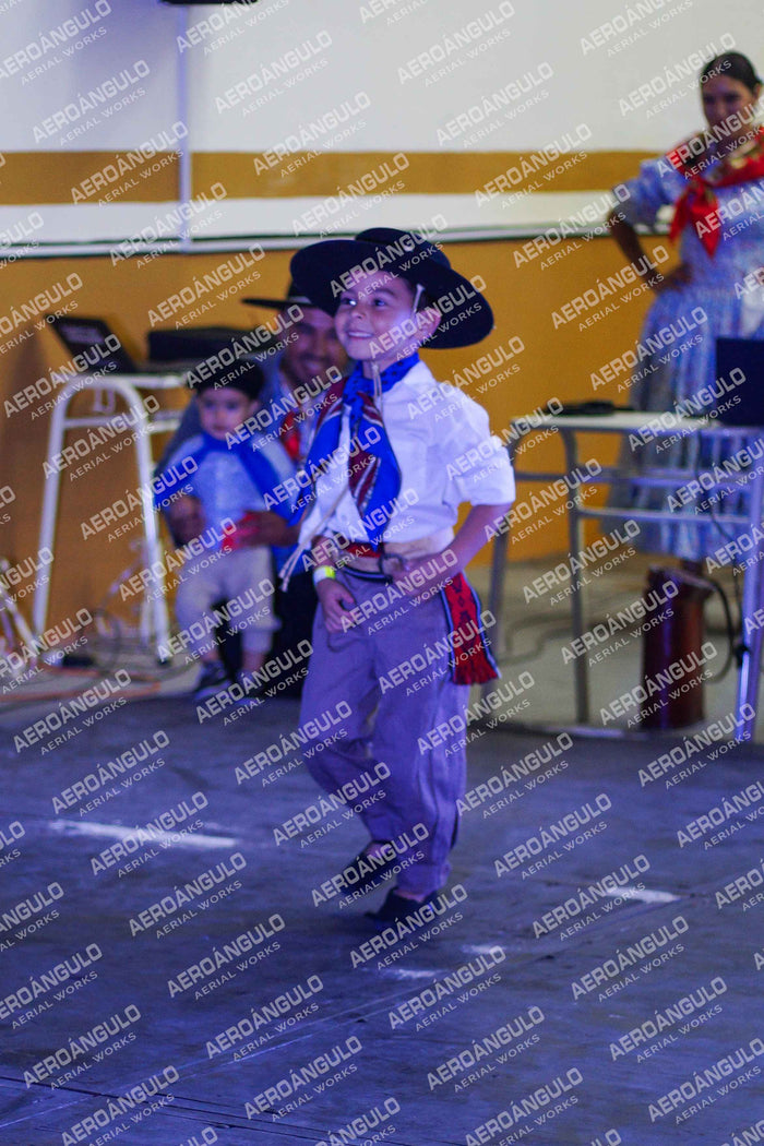 Danzarte N°98