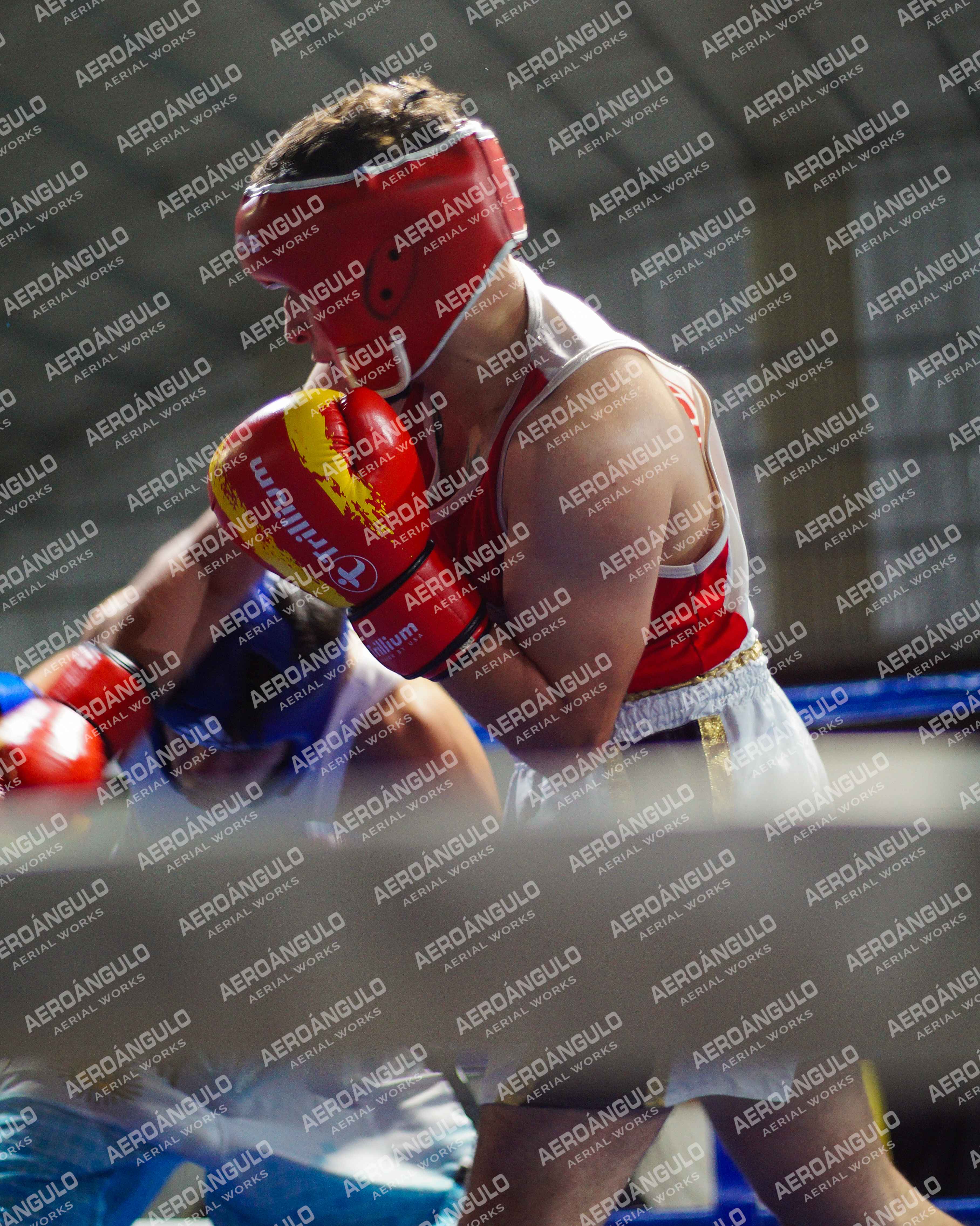 KNOCKOUT N°101