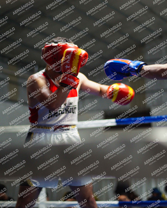 KNOCKOUT N°103